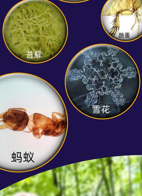 兒童顯微鏡便攜式科學(xué)實驗套裝益智玩具器材小學(xué)生初中男女孩禮物